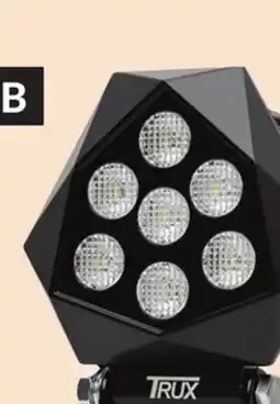 Princess Auto LED Flood Lights offer
