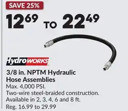 Princess Auto 3/8 in. NPTM Hydraulic Hose Assemblies offer