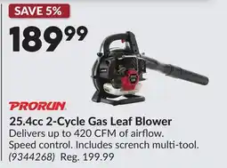 Princess Auto 25.4cc 2-Cycle Gas Leaf Blower offer