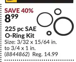 Princess Auto 225 pc SAE O-Ring Kit offer