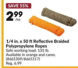 Princess Auto 1/4 in. x 50 ft Reflective Braided Polypropylene Ropes offer