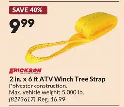 Princess Auto 2 in. x 6 ftATV Winch Tree Strap offer