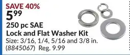 Princess Auto 250 pc SAE Lock and Flat Washer Kit offer