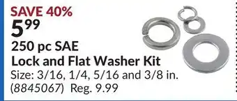 Princess Auto 250 pc SAE Lock and Flat Washer Kit offer