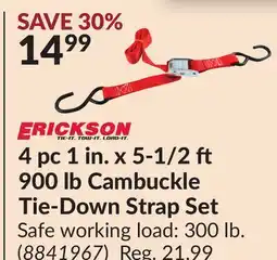 Princess Auto 4 pc 1 in. x 5-1/2 900 lb Cambuckle Tie-Down Strap Set offer