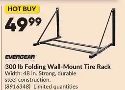 Princess Auto 300 lb Folding Wall-Mount Tire Rack offer