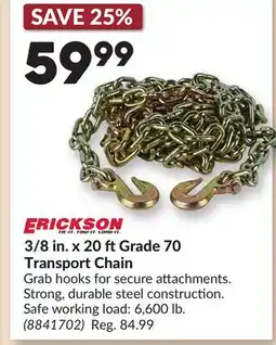 Princess Auto 3/8 in. x 20 ft Grade 70 Transport Chain offer