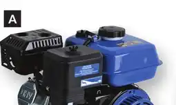 Princess Auto OHV Gas Engines offer