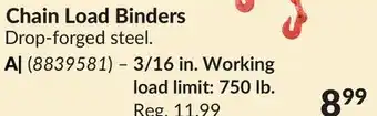 Princess Auto 3/16 in. Working load limit: 750 lb. Chain Load Binders offer