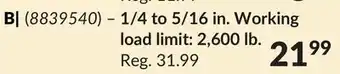 Princess Auto 1/4 to 5/16 in. Working load limit: 2,600 lb. Chain Load Binders offer