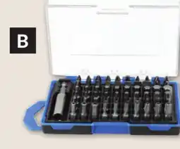 Princess Auto 61 pc Bit Sets offer