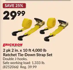 Princess Auto 2 pk 2 in. x 10 ft 4,000 lb Ratchet Tie-Down Strap Set offer