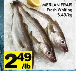 Supermarché PA MERLAN FRAIS | Fresh Whiting offer
