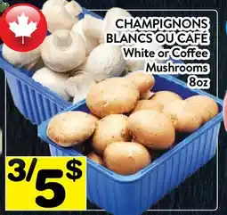 Supermarché PA CAFÉ BLANCS OU CAFÉ | White or Coffee Mushrooms offer