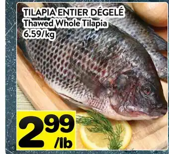 Supermarché PA Tilapia Entier Dégelé | Thawed Whole Tilapia offer