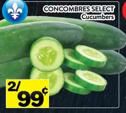 Supermarché PA CONCOMBRES SELECT | Cucumbers offer