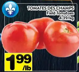 Supermarché PA TOMATES DES CHAMPS | Field Tomatoes offer