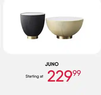 Meubles RD JUNO offer