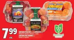 Metro Ontario peaches or apricots ontario nectarines offer