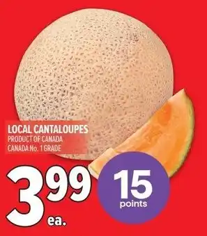 Metro Local cantaloupes offer