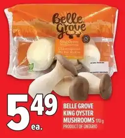 Metro Belle grove king oyster mushrooms offer