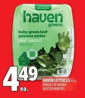 Metro Haven lettuces offer