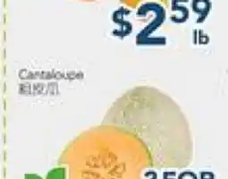 Oceans Fresh Food Market Cantaloupe offer