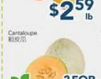 Oceans Fresh Food Market Cantaloupe offer