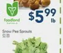 Oceans Fresh Food Market Snow Peas Sprouts offer