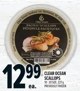 Metro Clear ocean scallops offer