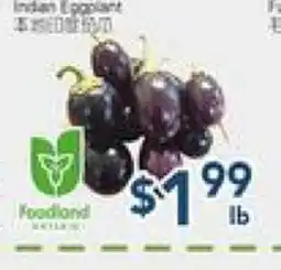 Oceans Fresh Food Market Vegetable offer