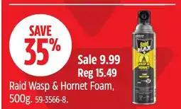 Canadian Tire Raid Wasp & Hornet Foam offer