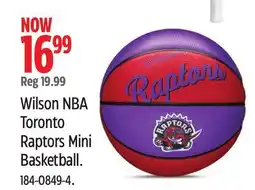 Canadian Tire Wilson NBA Toronto Raptors Mini Basketball offer