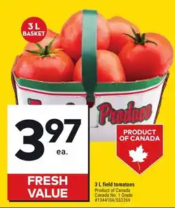 Giant Tiger 3 L field tomatoes offer
