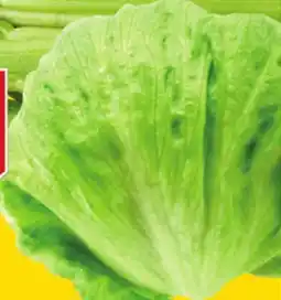 Giant Tiger iceberg lettuce offer
