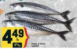 Marché Adonis Thawed or Frozen Mackerel offer