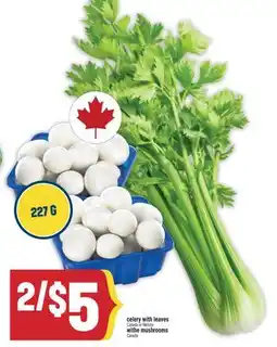 Marché Adonis Celery with leaves withe mushrooms offer