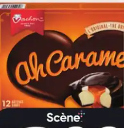 IGA VACHON CAKES offer