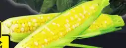 IGA PEACHES AND CREAM CORN ON THE COB BAG offer