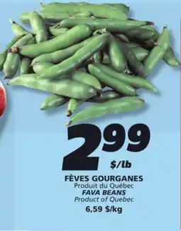 IGA FAVA BEANS offer