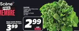 IGA ANDY BOY RAPINI offer