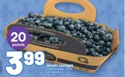 Metro BLEUETS SAUVAGES | WILD BLUEBERRIES offer
