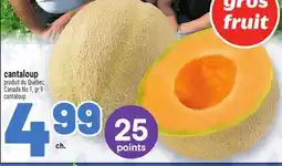 Metro CANTALOUP | CANTALOUP offer