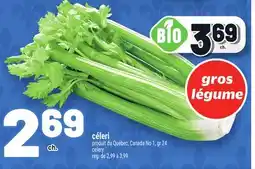 Metro CÉLERI | CELERY offer