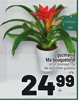 Metro GUZMANIA MA BOUQUETERIE offer