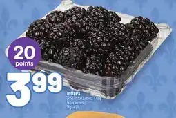 Metro MÛRES | BLACKBERRIES offer