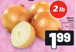 Metro OIGNONS JAUNES | YELLOW ONIONS offer