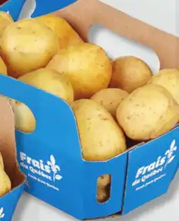 IGA YELLOW SMALL POTATOES offer