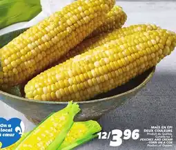 IGA PEACHES AND CREAM CORN ON A COB offer