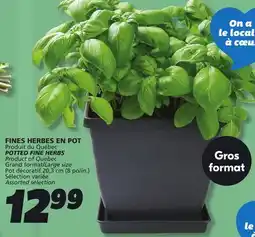 IGA POTTED FINE HERBS offer